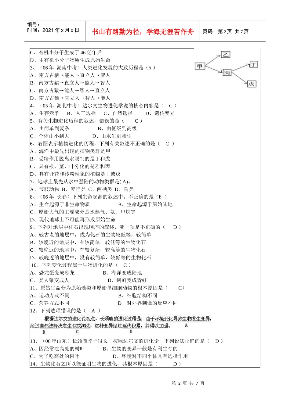专题二生物的进化规律_第2页