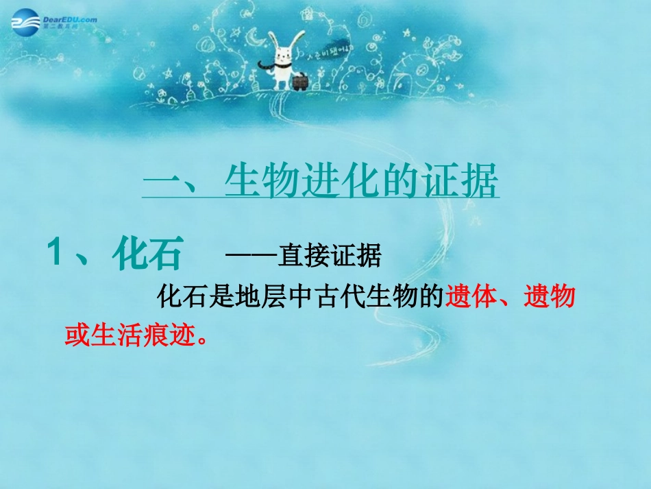 江苏省太仓市第二中学八年级生物下册 22.2 生物进化的历程课件 苏科版_第2页