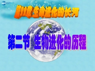 江苏省太仓市第二中学八年级生物下册 22.2 生物进化的历程课件 苏科版
