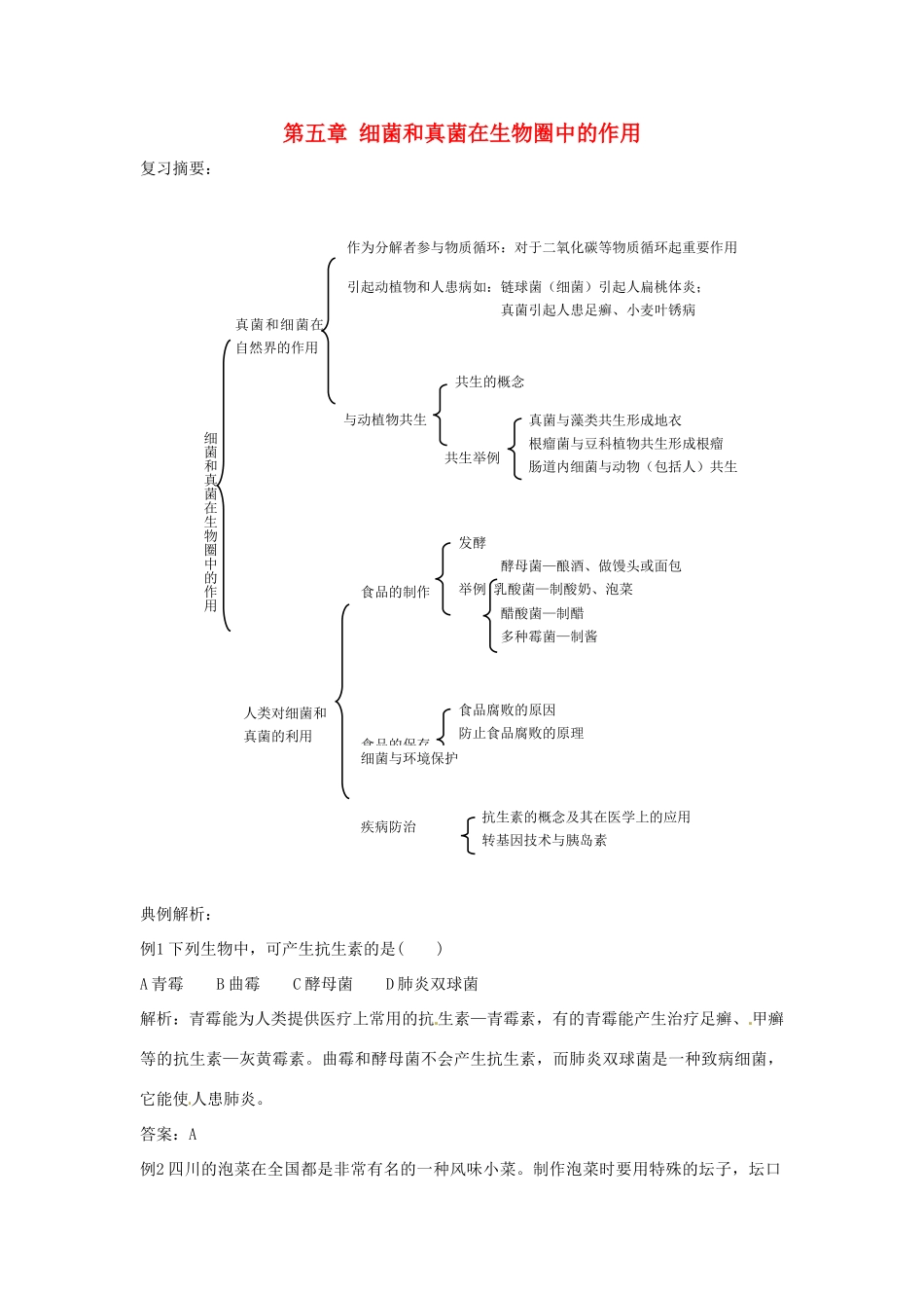 八年级生物上册 第5单元第5章 细菌和真菌在生物圈中的作用复习教案 人教新课标版_第1页