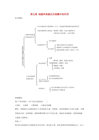 八年级生物上册 第5单元第5章 细菌和真菌在生物圈中的作用复习教案 人教新课标版