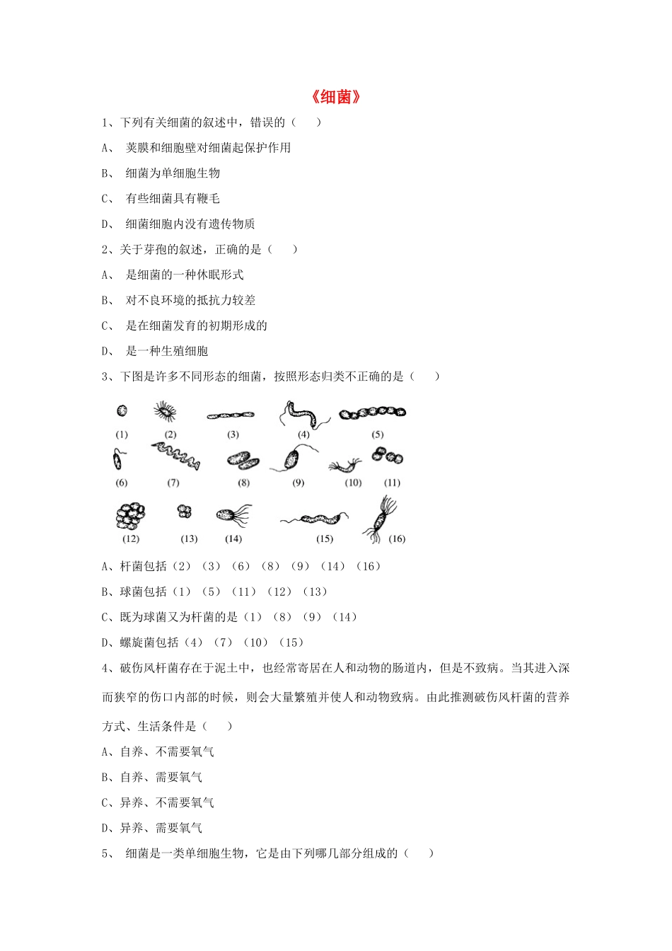 八年级生物上册 5.4.2 细菌练习题4（无答案）（新版）新人教版_第1页