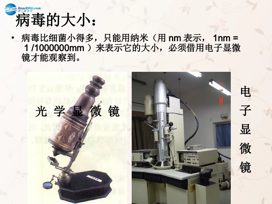 八年级生物上册 5.5 病毒课件2 （新版）新人教版_第3页