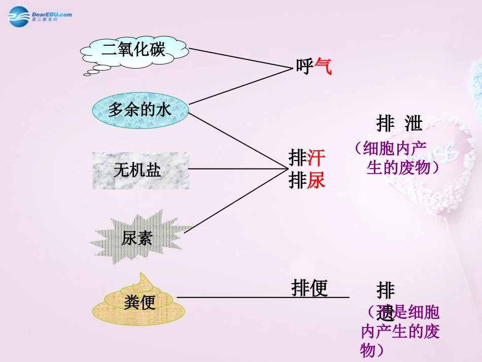 湖南省长沙市长郡芙蓉中学七年级生物下册《4.5.1 尿的形成和排出》课件 新人教版_第3页