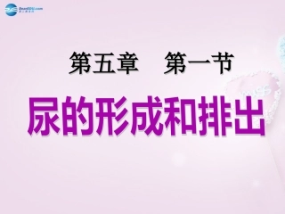湖南省长沙市长郡芙蓉中学七年级生物下册《4.5.1 尿的形成和排出》课件 新人教版