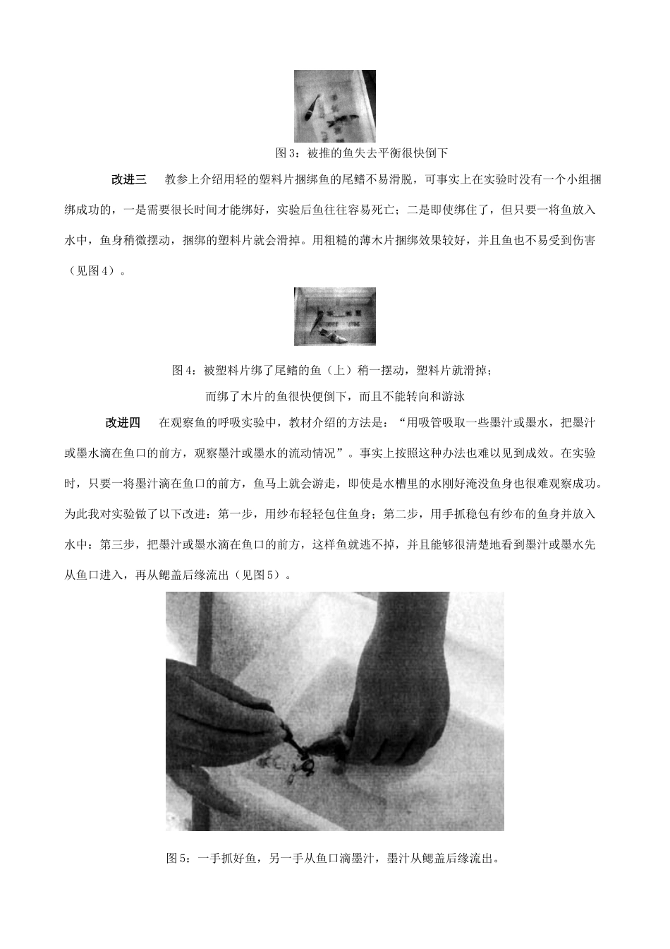 八年级生物新人教版对“探究鱼鳍在游泳中的作用”和“观察鱼的呼吸”实验的改进_第2页