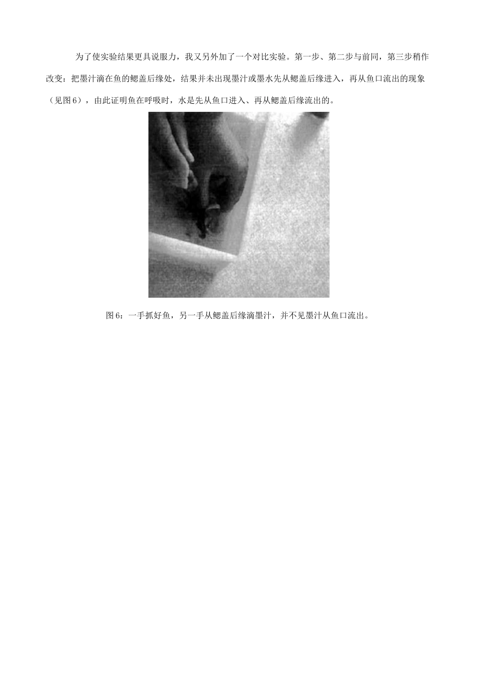 八年级生物新人教版对“探究鱼鳍在游泳中的作用”和“观察鱼的呼吸”实验的改进_第3页