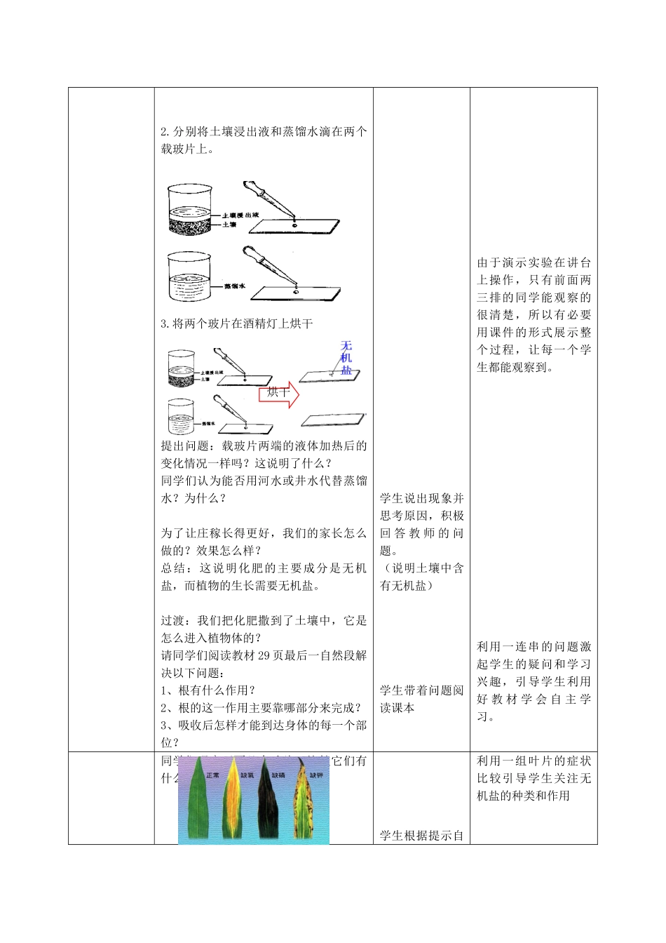 -八年级生物上册 4.1.5 根的结构和功能（第2课时）优秀教案 （新版）济南版-（新版）济南版初中八年级上册生物教案_第3页