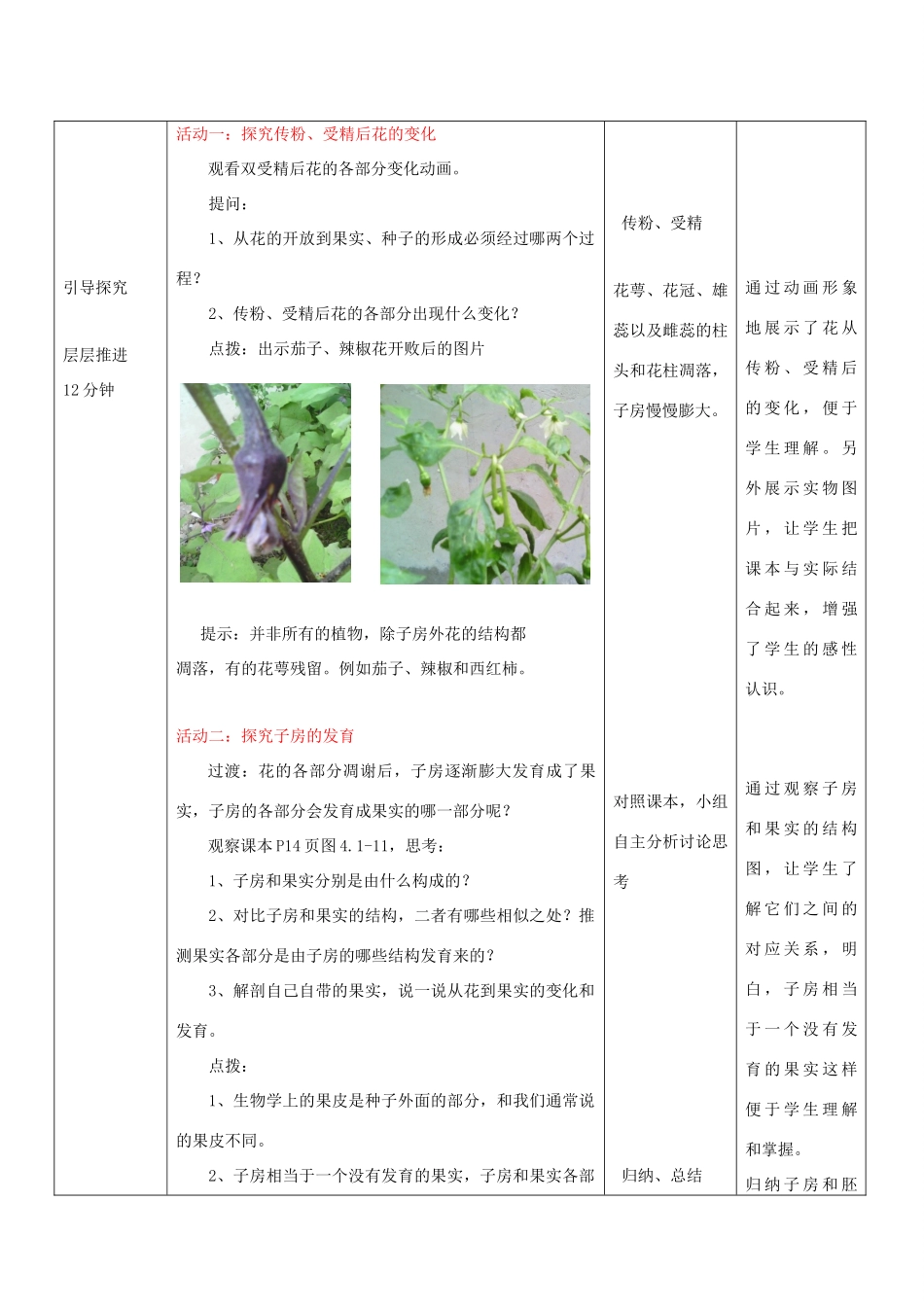 八年级生物上册 4.1.3《果实和种子的形成》教案 （新版）济南版-（新版）济南版初中八年级上册生物教案_第3页