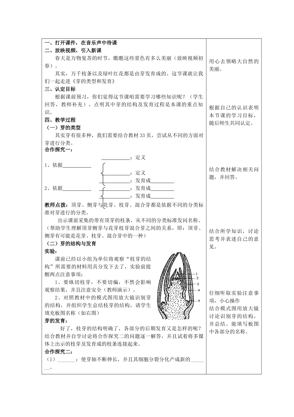 八年级生物上册 第四单元 第一章 第6节《芽的类型和发育》教案 （新版）济南版-（新版）济南版初中八年级上册生物教案_第2页
