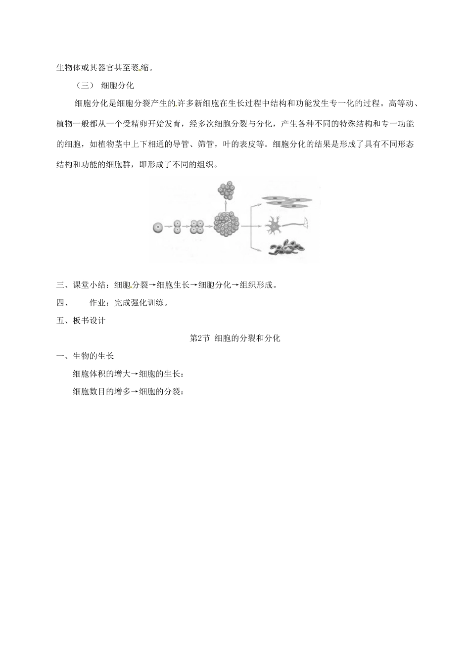 江苏省如皋市七年级生物下册 8.2细胞的分裂与分化教案 苏科版-苏科版初中七年级下册生物教案_第3页