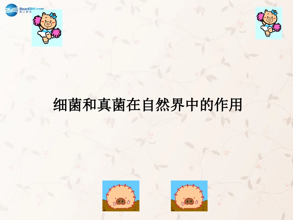 八年级生物上册 5.4.4 细菌和真菌在自然界中的作用课件3 （新版）新人教版_第1页