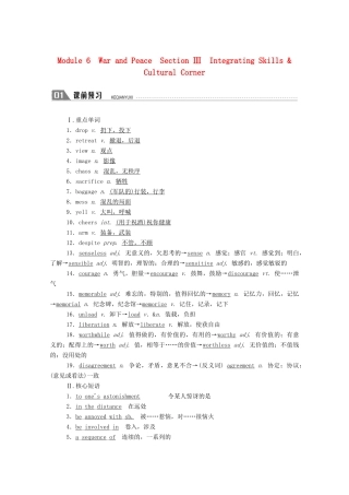 高中英语 Module 6 War and Peace Section Ⅲ Integrating Skills  Cultural Corner教案 外研版选修6-外研版高二选修6英语教案