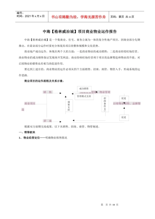 中海格林威治城项目商业物业运作报告