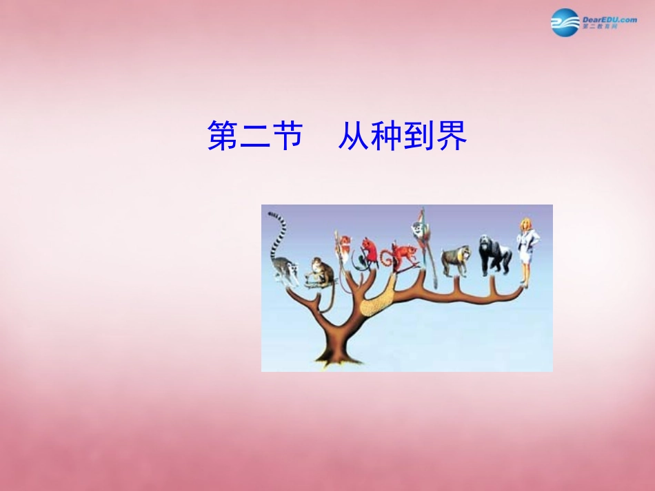 八年级生物上册 6.1.2 从种到界课件 （新版）新人教版_第1页
