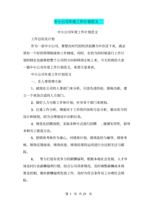 中小公司年度工作计划范文