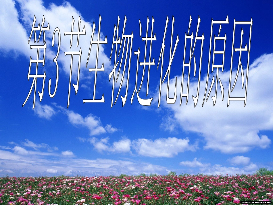 江苏省太仓市第二中学八年级生物下册 22.3 生物进化的原因课件3 苏科版_第1页