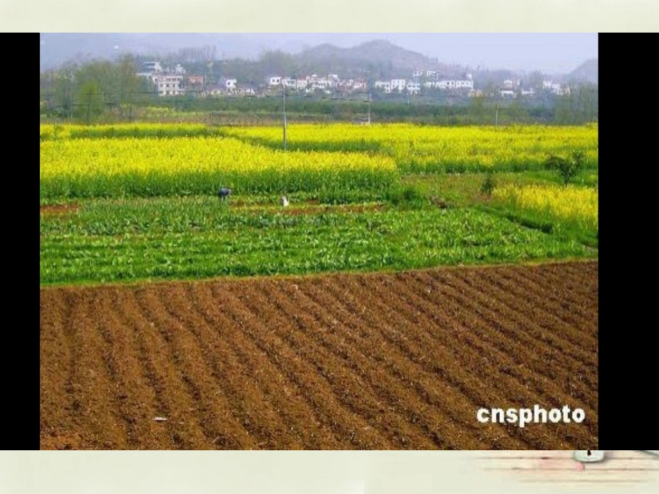 八年级地理上册 第3章 第1节 合理利用土地资源课件 （新版）商务星球版_第2页