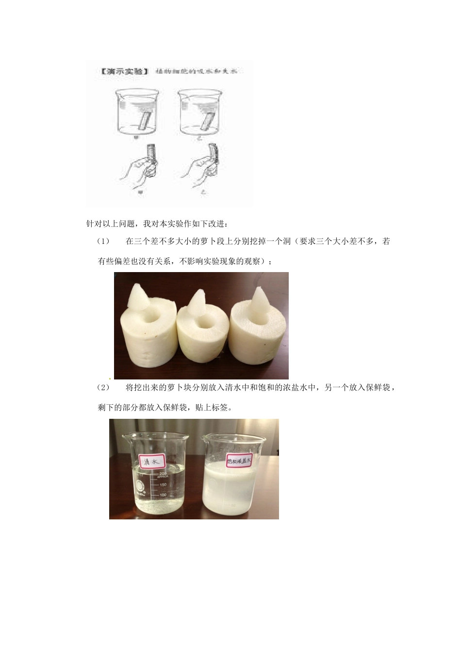 江西省信丰县黄泥中学中考生物实验汇总复习 植物细胞吸水失水实验教学改进教学设计_第2页