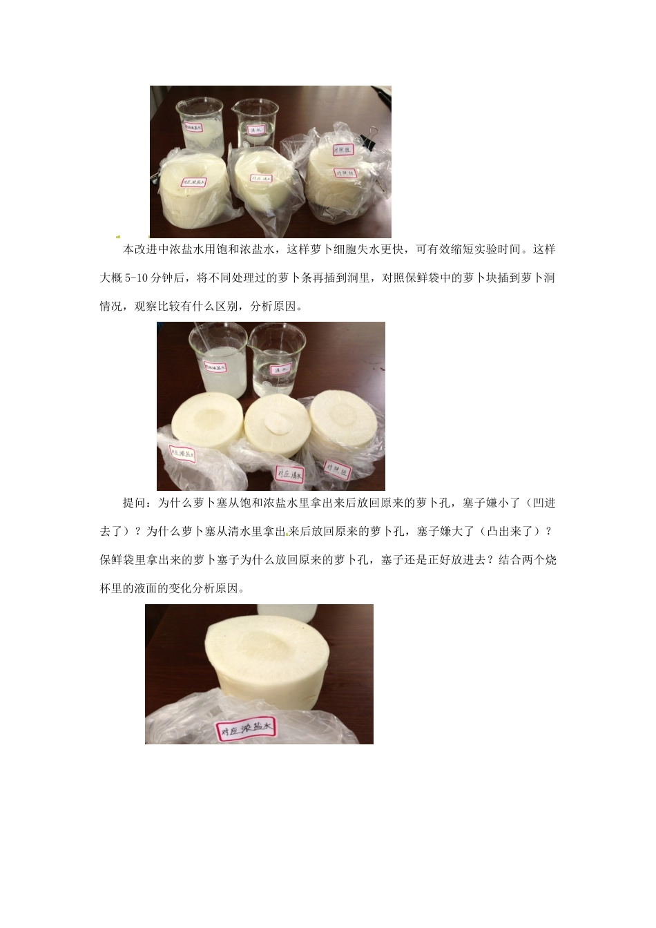 江西省信丰县黄泥中学中考生物实验汇总复习 植物细胞吸水失水实验教学改进教学设计_第3页