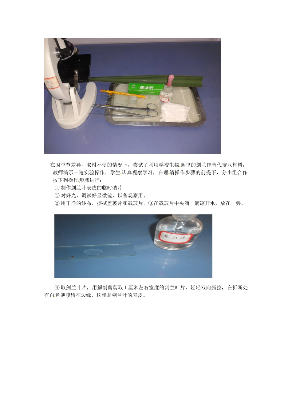 江西省信丰县黄泥中学中考生物实验汇总复习 观察植物叶表皮的气孔创新教学设计_第3页