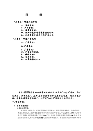XX啤酒策划