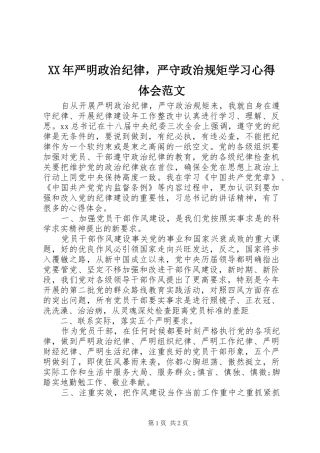 XX年严明政治纪律，严守政治规矩学习心得体会范文