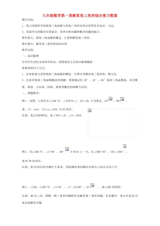 九年级数学第一章解直角三角形综合复习教案 浙教版