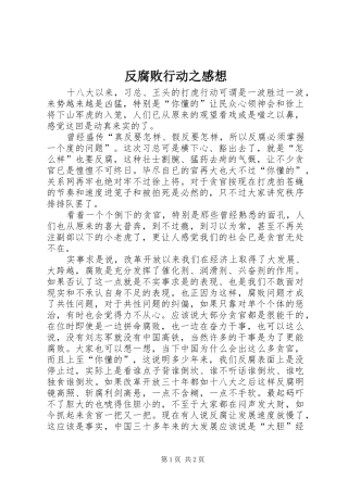 反腐败行动之感想