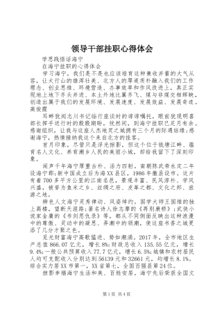 领导干部挂职心得体会