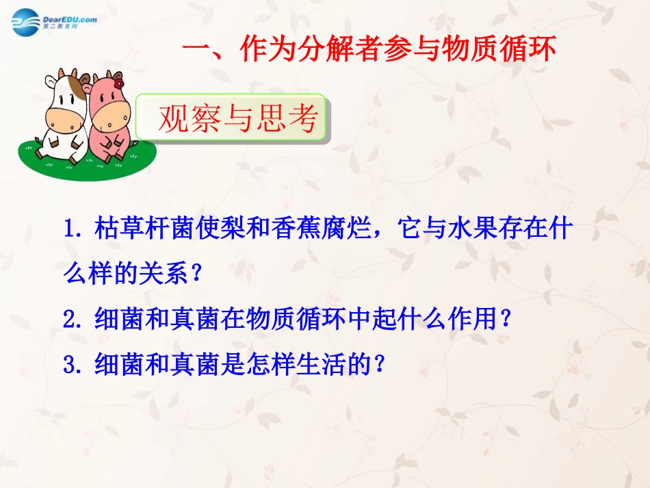 八年级生物上册 5.4.4 细菌和真菌在自然界中的作用课件2 （新版）新人教版_第2页