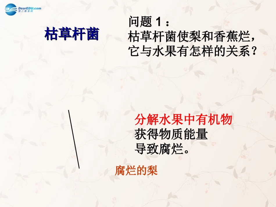 八年级生物上册 5.4.4 细菌和真菌在自然界中的作用课件2 （新版）新人教版_第3页