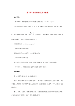 九年级数学上册 第三章 图形的相似复习与小结教案 湘教版