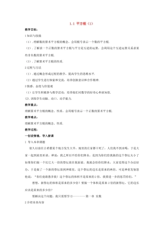 八年级数学上：1.1 平方根（1） 教案湘教版