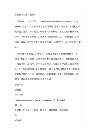 常春藤(五加科植物)