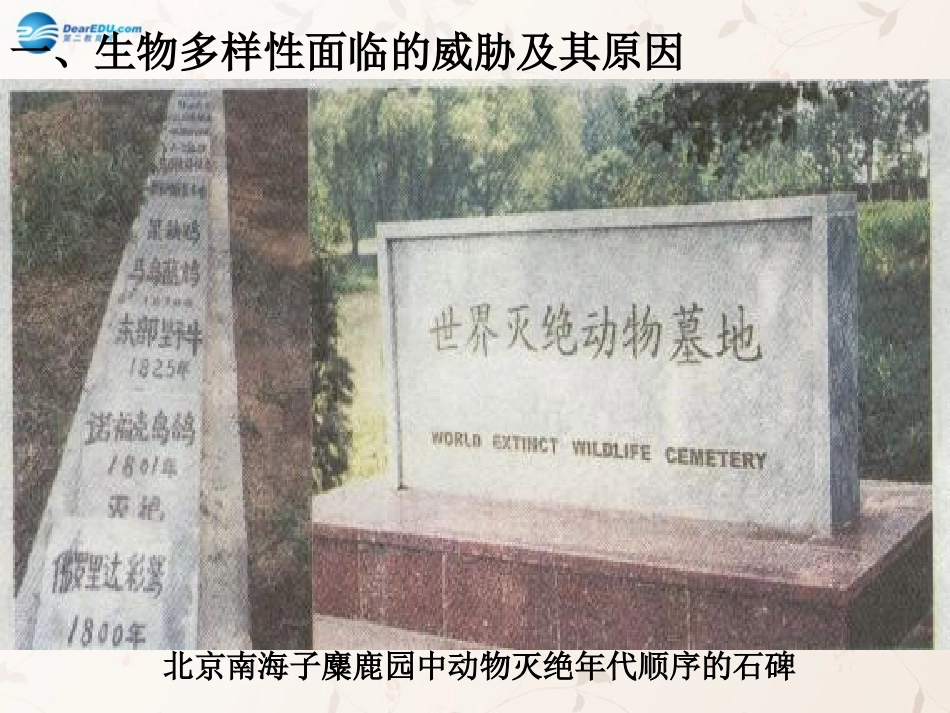 八年级生物上册 6.3 保护生物的多样性课件1 （新版）新人教版_第2页