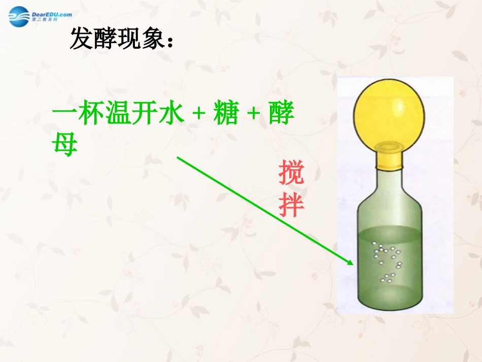 八年级生物上册 5.4.5 人类对细菌和真菌的利用课件4 （新版）新人教版_第3页