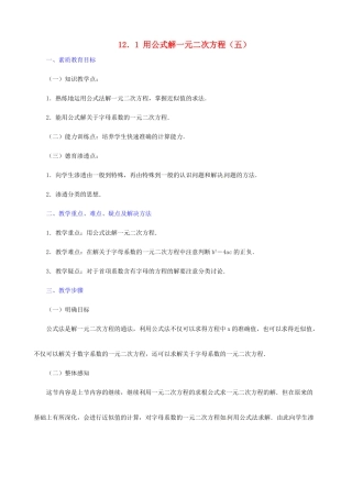 广东省深圳市龙岗区平湖镇兴文学校初中数学 12.1 用公式解一元二次方程（五）教案