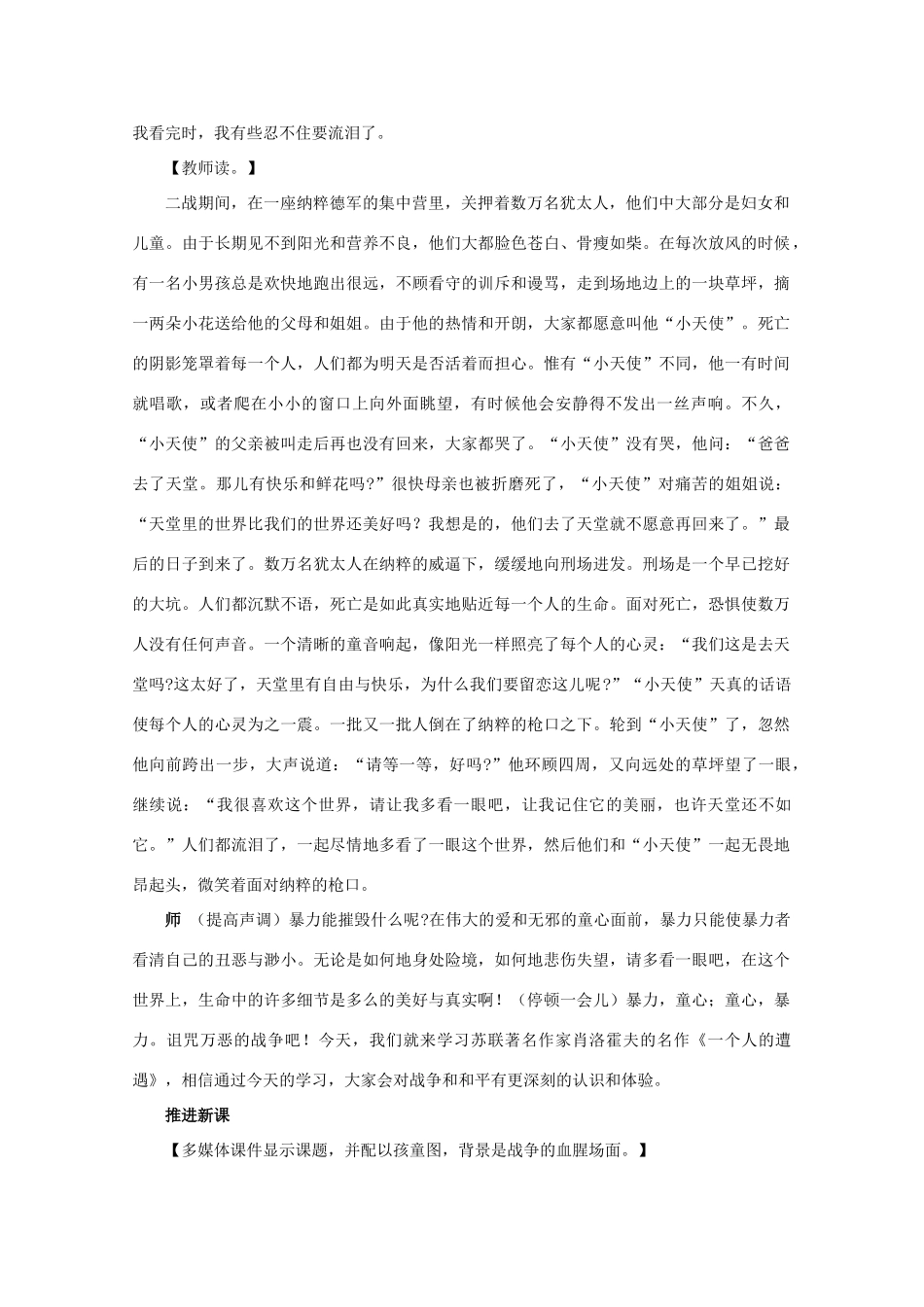 高中语文 第二专题版块一《一个人的遭遇》教案 苏教版必修2_第2页