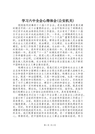 学习六中全会心得体会(公安机关)