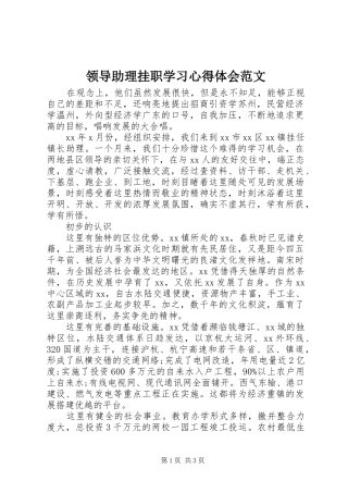 领导助理挂职学习心得体会范文