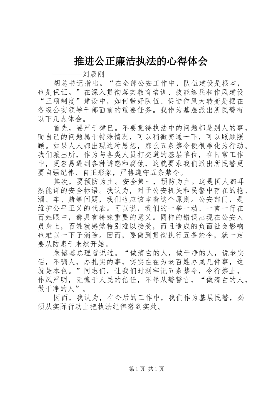 推进公正廉洁执法的心得体会_第1页