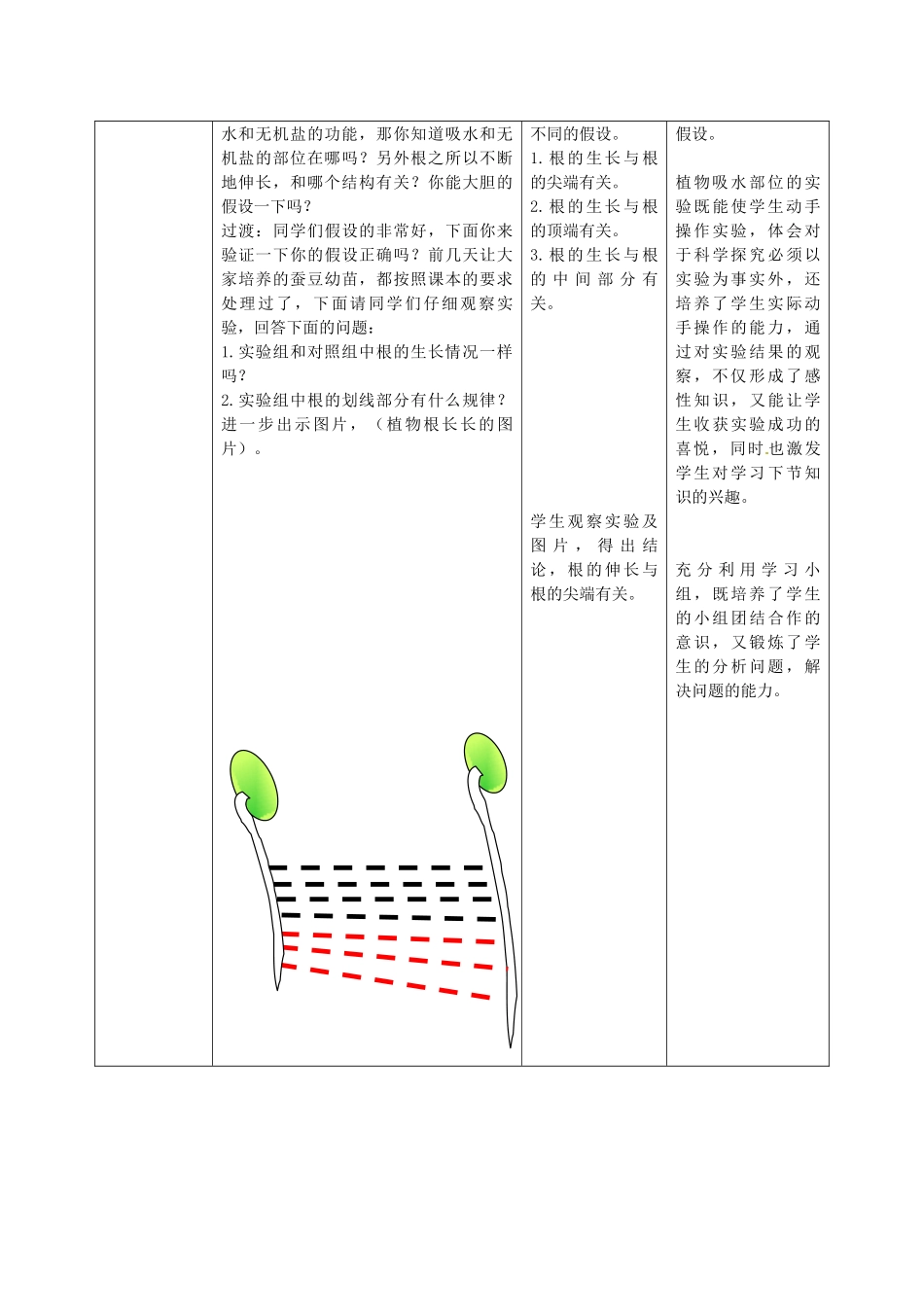 八年级生物上册 第4单元 第1章 第5节 根的结构与功能（第1课时）教案1 （新版）济南版_第3页