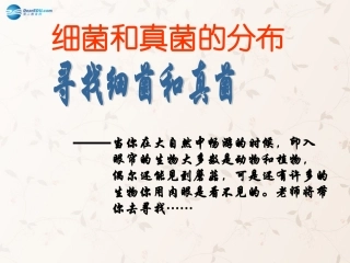 八年级生物上册 5.4.1 细菌和真菌的分布课件1 （新版）新人教版