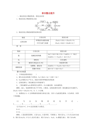 高中化学 第二章 章末整合提升教案 新人教版必修第一册-新人教版高一第一册化学教案