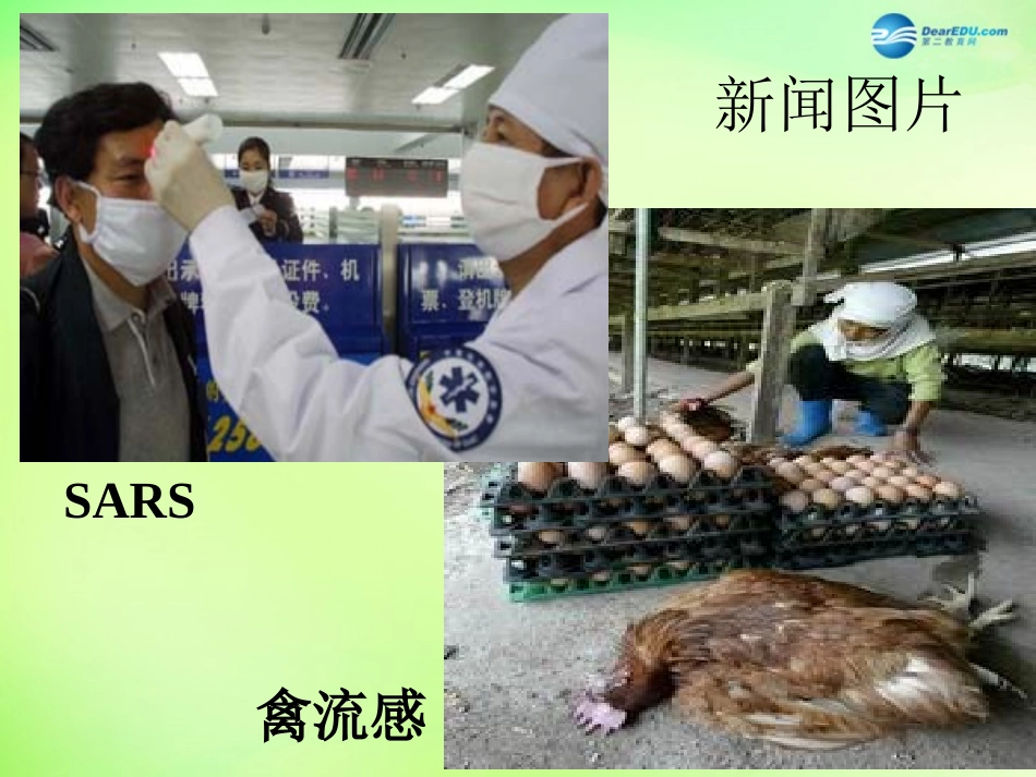 江苏省昆山市锦溪中学八年级生物下册 23.2 传染病的预防（第1课时）课件 苏科版_第3页