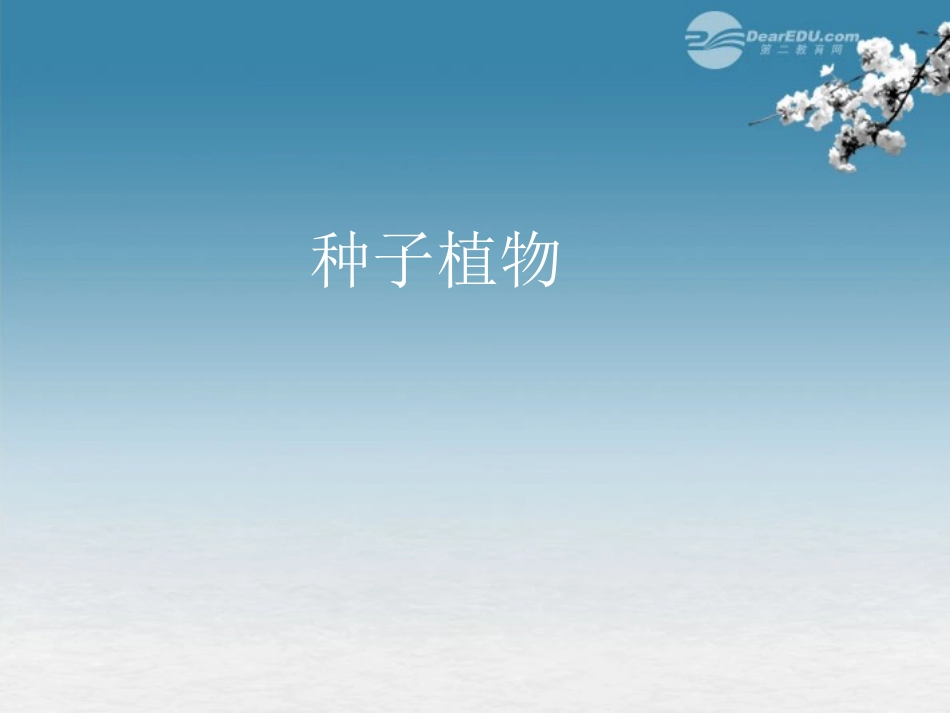 湖北省大冶市还地桥镇南湾初级中学七年级生物上册 第三单元《种子植物》课件2 新人教版_第1页