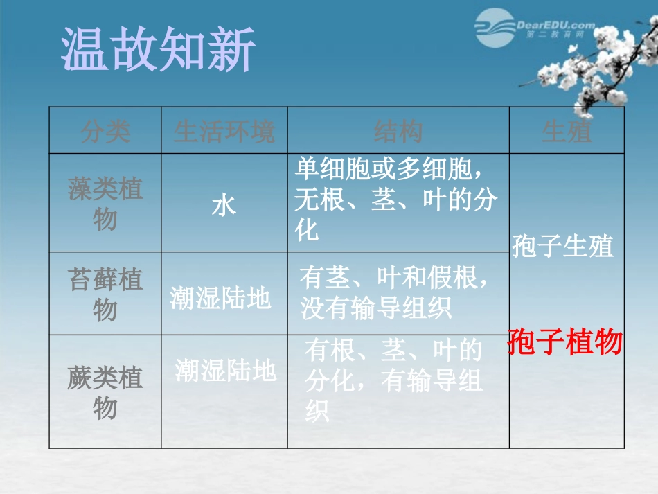 湖北省大冶市还地桥镇南湾初级中学七年级生物上册 第三单元《种子植物》课件2 新人教版_第2页