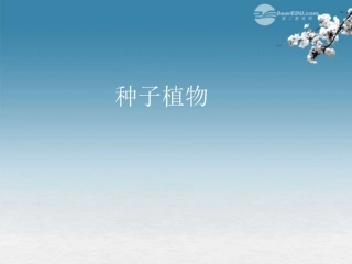 湖北省大冶市还地桥镇南湾初级中学七年级生物上册 第三单元《种子植物》课件2 新人教版