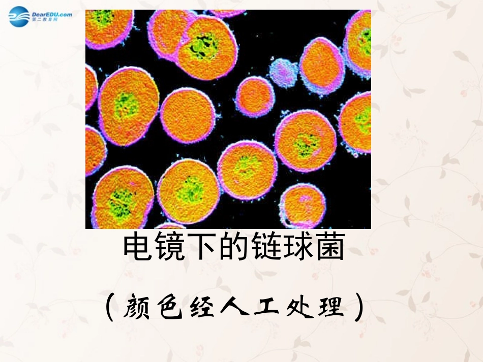 八年级生物上册 5.4.1 细菌和真菌的分布课件3 （新版）新人教版_第3页
